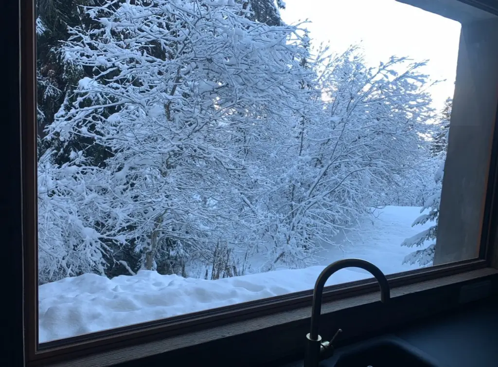 Appartement Clémentine, photo du séjour