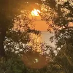 La Cabane du Cap Ferret, photo du séjour