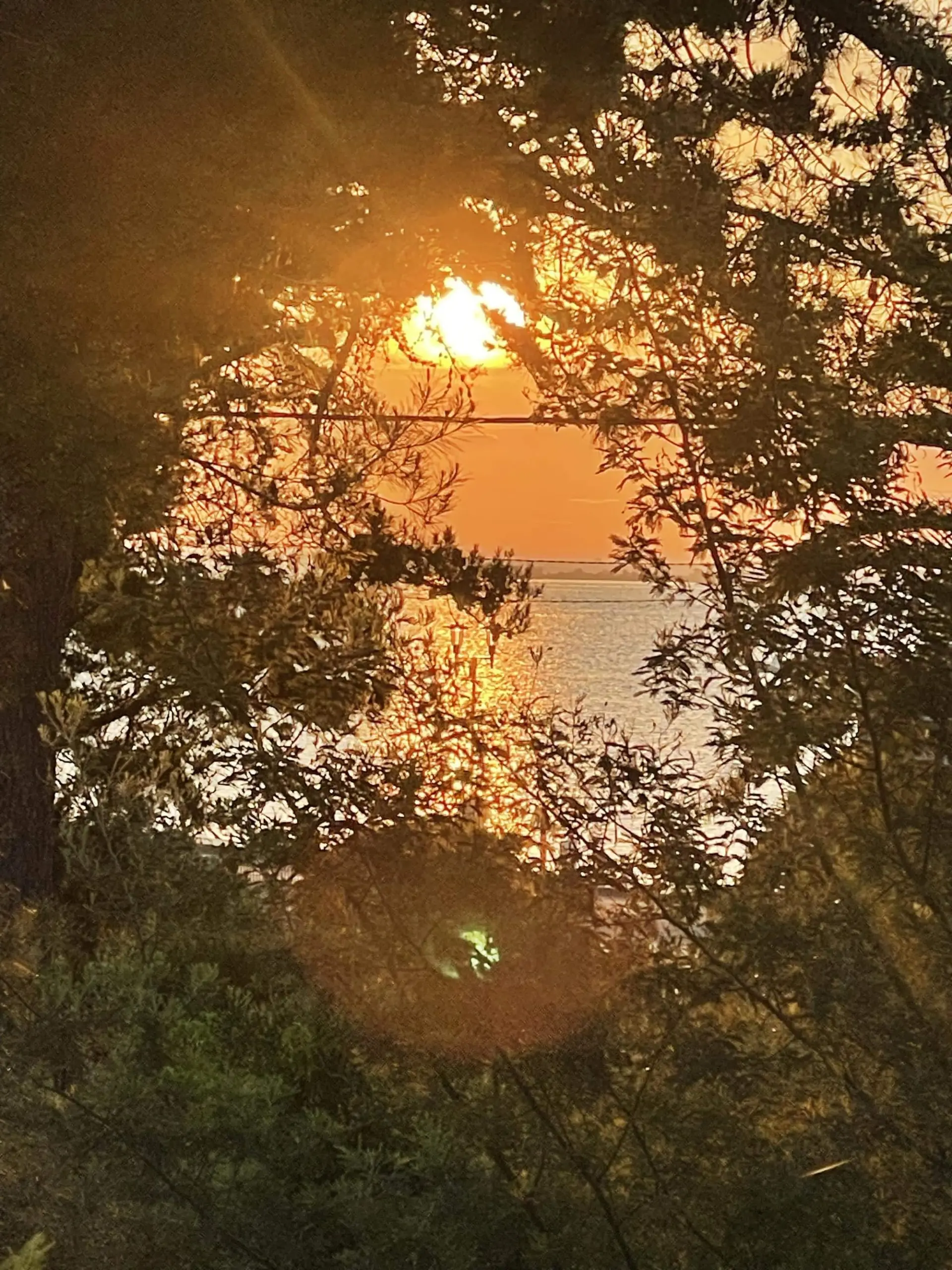 La Cabane du Cap Ferret, photo du séjour