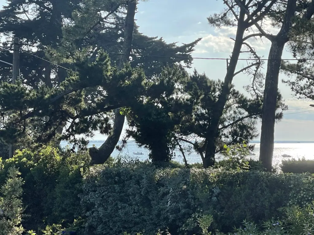 La Cabane du Cap Ferret, photo du séjour