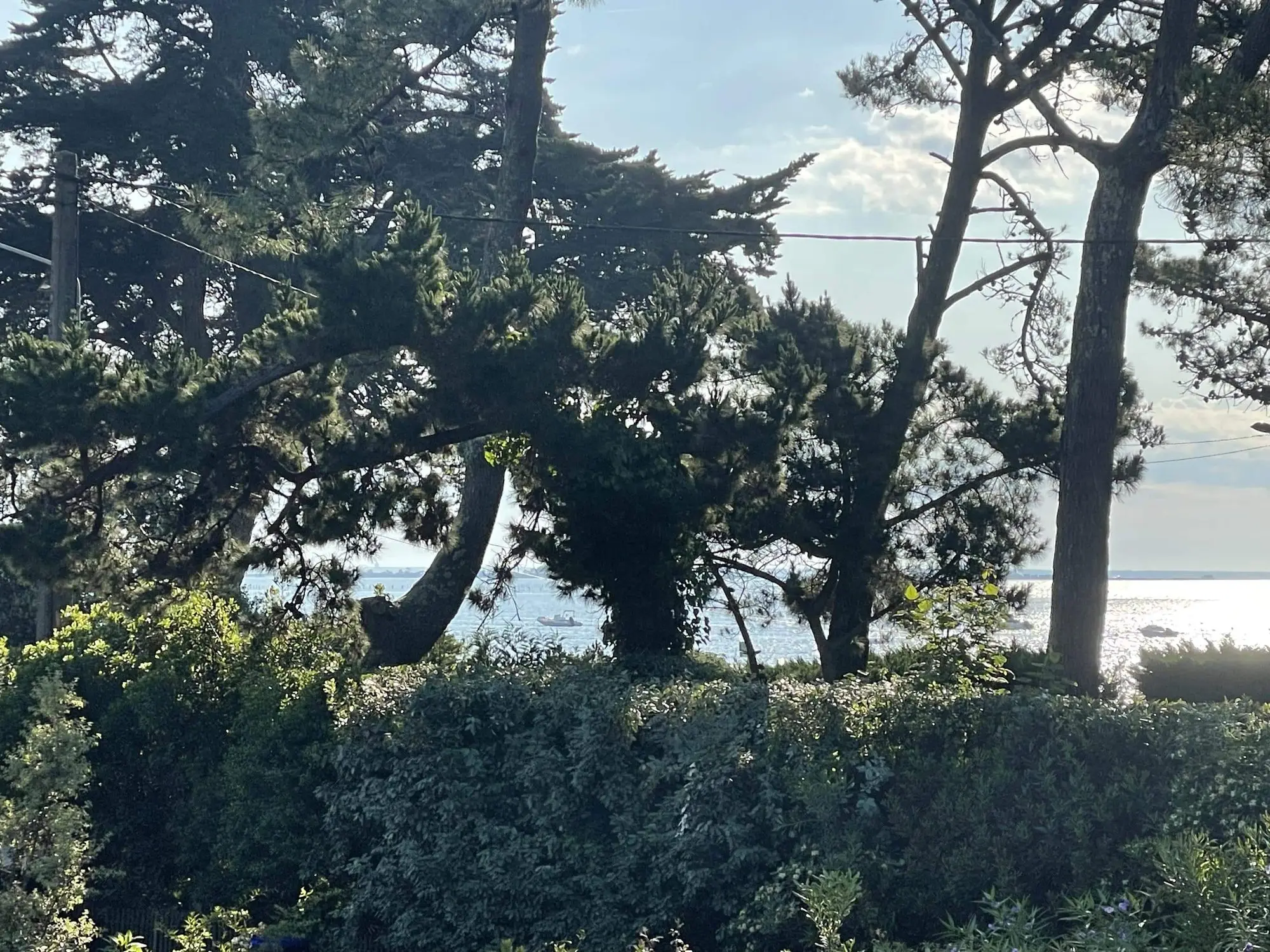 La Cabane du Cap Ferret, photo du séjour