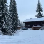 Chalet Clémentine, photo du séjour