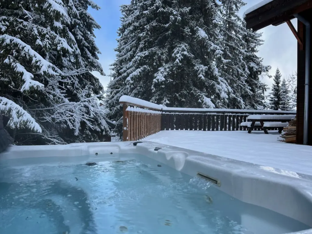 Chalet Clémentine, photo du séjour