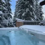 Chalet Clémentine, photo du séjour