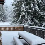 Chalet Clémentine, photo du séjour