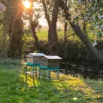 La Ferme de la Motte, holiday home photo
