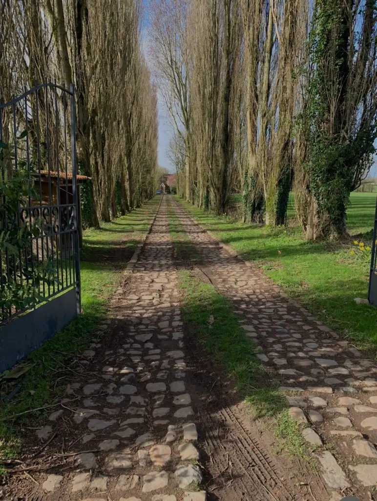La Ferme de la Motte, holiday home photo