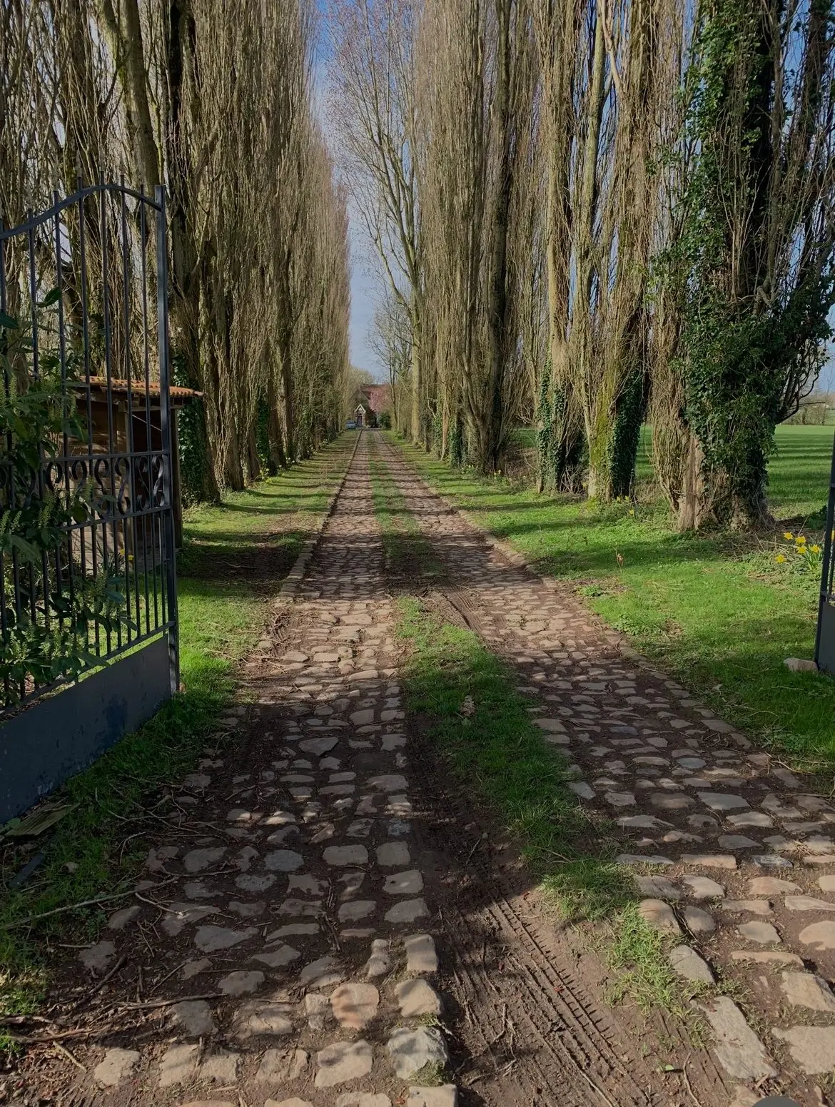 La Ferme de la Motte, holiday home photo